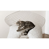 thumbnail-image