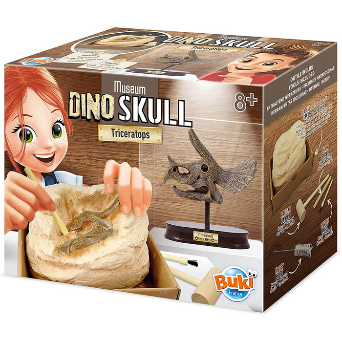 Buki Dinosaur Skull - Triceratops