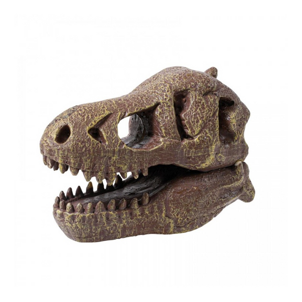 Buki Dinosaur Skull - Tyrannosaurus