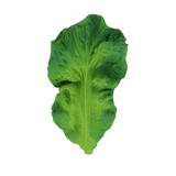 thumbnail-image