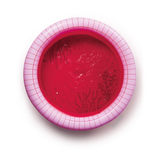 thumbnail-image