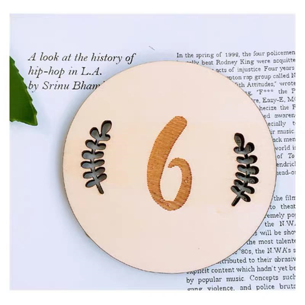 Baby Sophie Milestone Wooden Plaques – Numbers