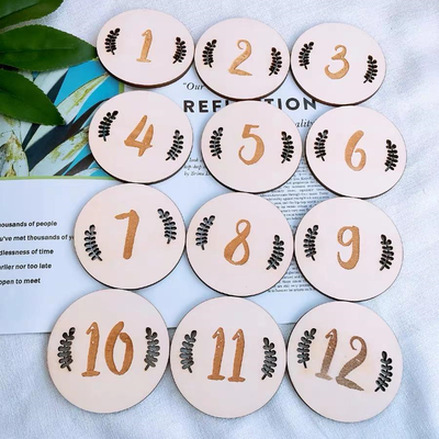 Baby Sophie Milestone Wooden Plaques – Numbers