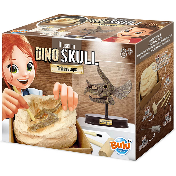 Buki Dinosaur Skull - Triceratops