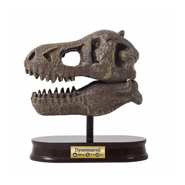 Buki Dinosaur Skull - Tyrannosaurus