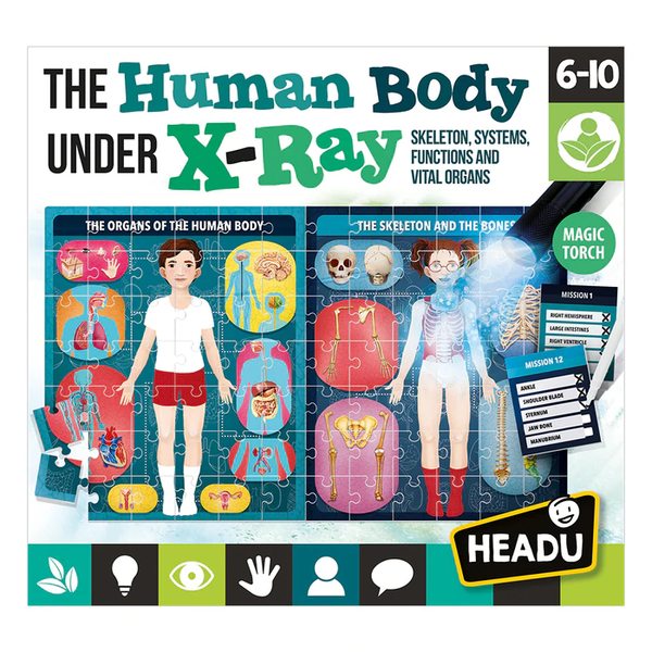 Headu The Human Body Under X-Ray