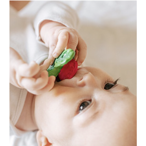 Oli & Carol Chewy-To-Go Ramonita the Radish Teether