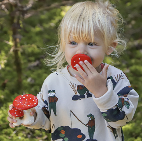 Oli & Carol Chewy-To-Go Spotty the Mushroom Teether