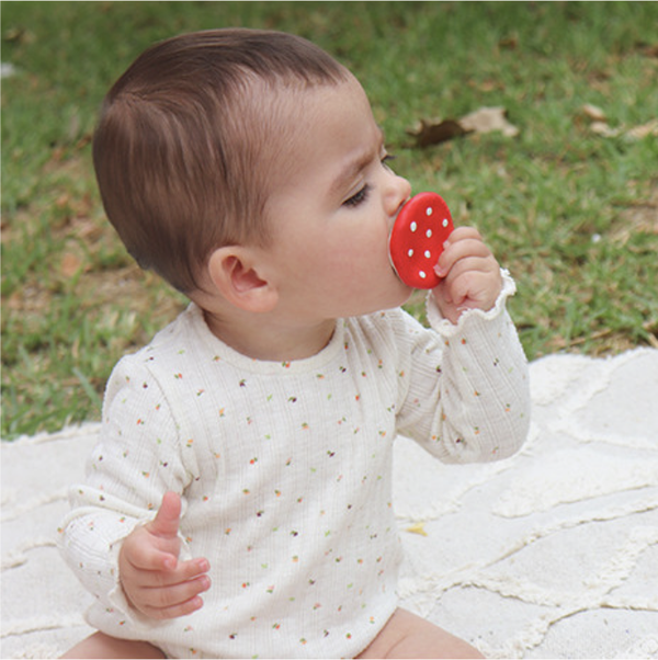 Oli & Carol Chewy-To-Go Spotty the Mushroom Teether