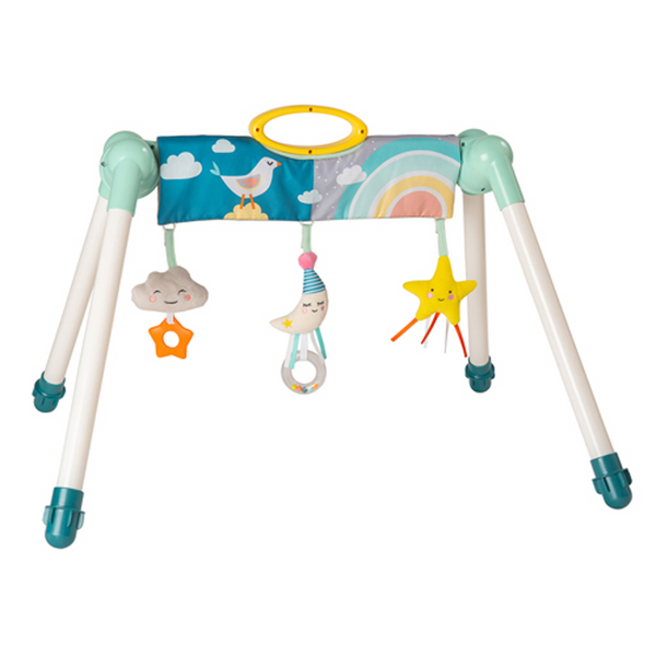 Taf Toys Mini Moon Take to Play Gym