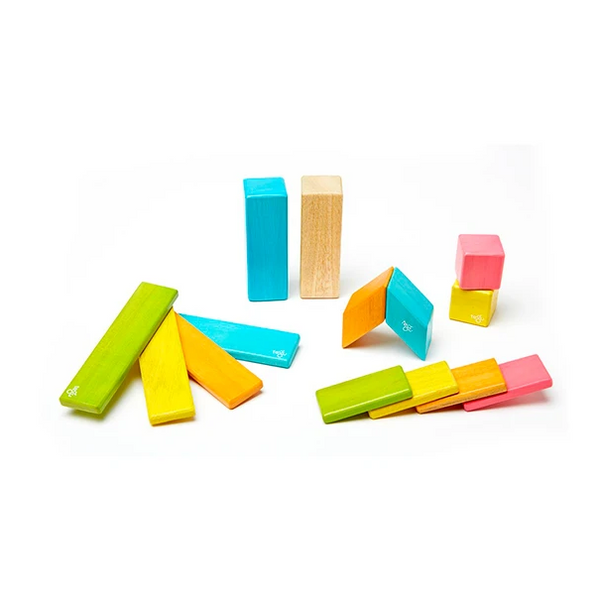 Tegu Classics Magnetic Wooden Blocks 14-Piece Set – Tints