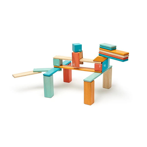 Tegu Classics Magnetic Wooden Blocks 24-Piece Set – Sunset