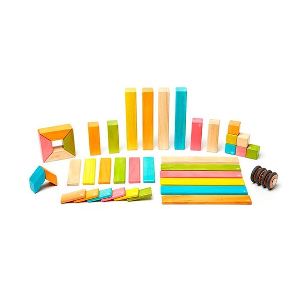 Tegu Classics Magnetic Wooden Blocks 42-Piece Set – Tints